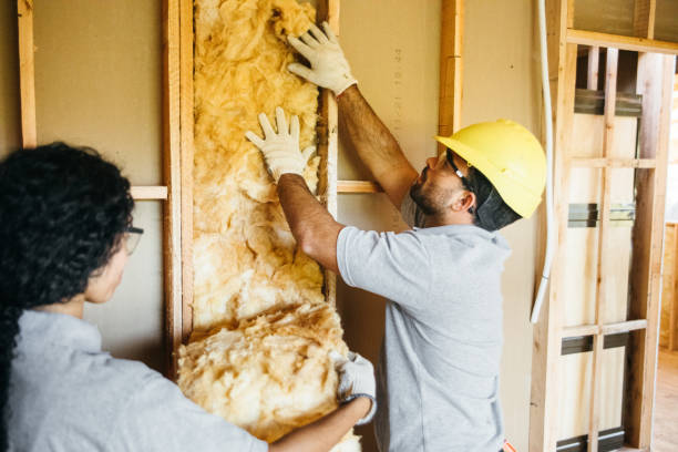 Best Batt and Roll Insulation  in New City, NY